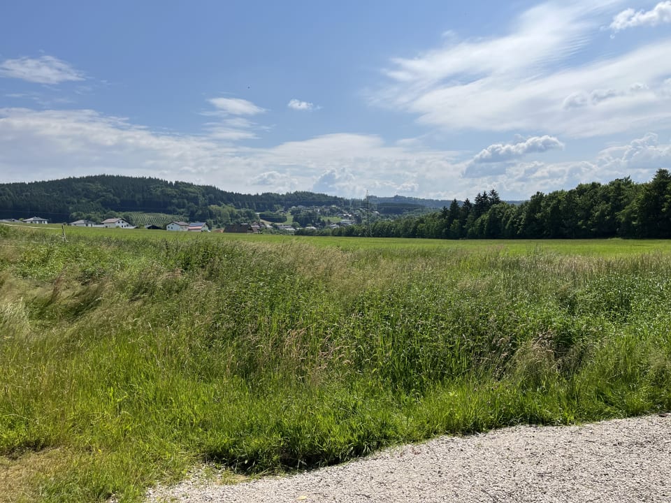 Ausblick Aldiana Club Ampflwang