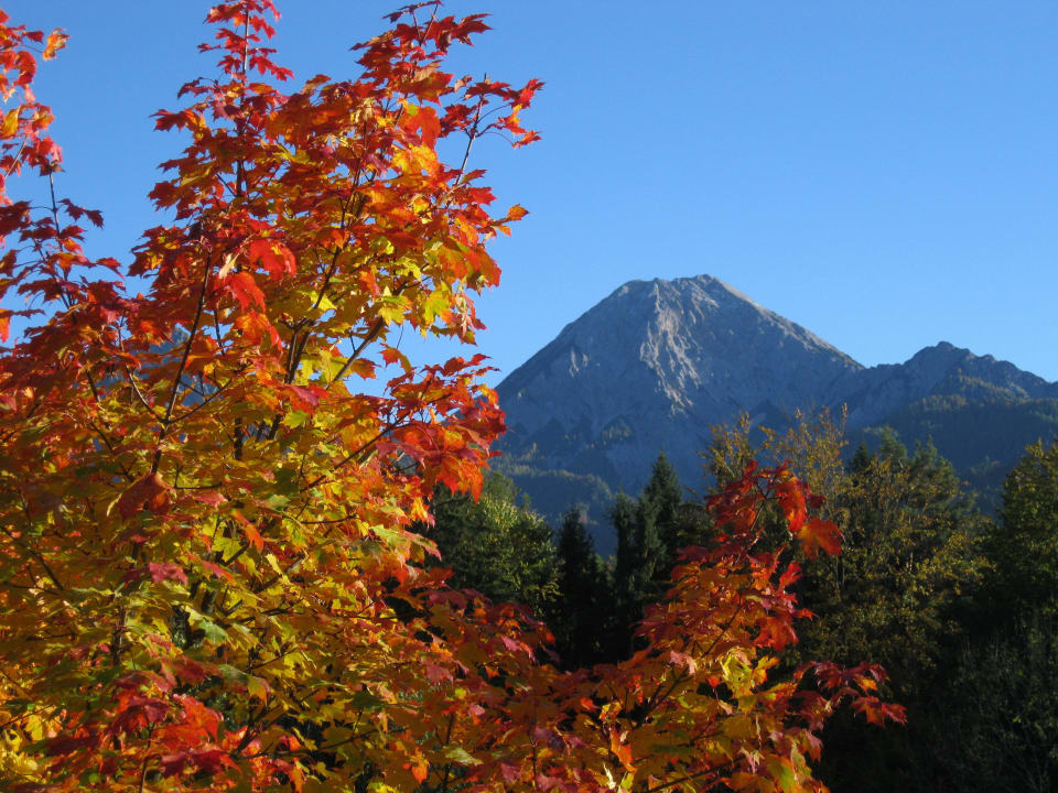 Berg "Mittagskogel" Naturel Hoteldorf Schönleitn