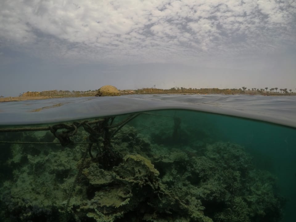 Strand Steigenberger Coraya Beach - Adults only