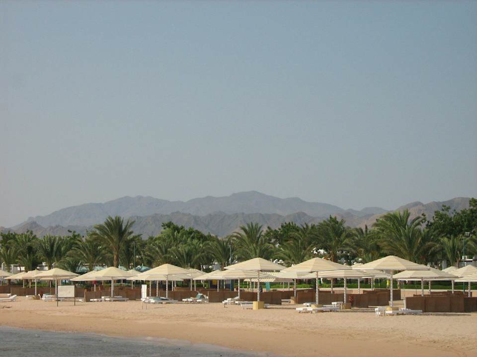 Widok z pomostu Menaville Safaga