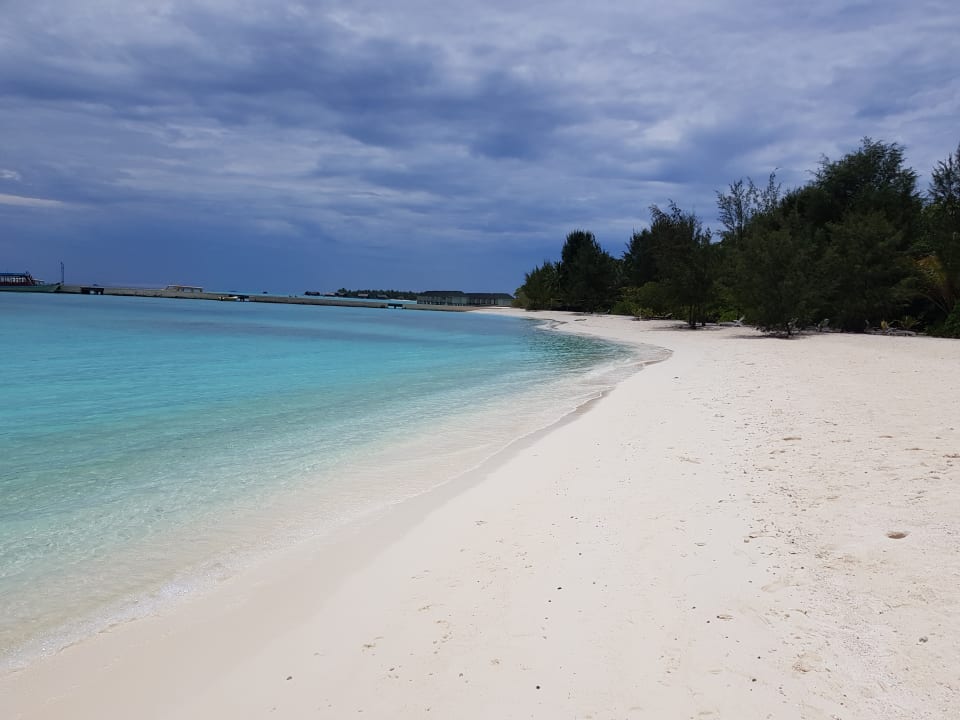Strand Summer Island Maldives