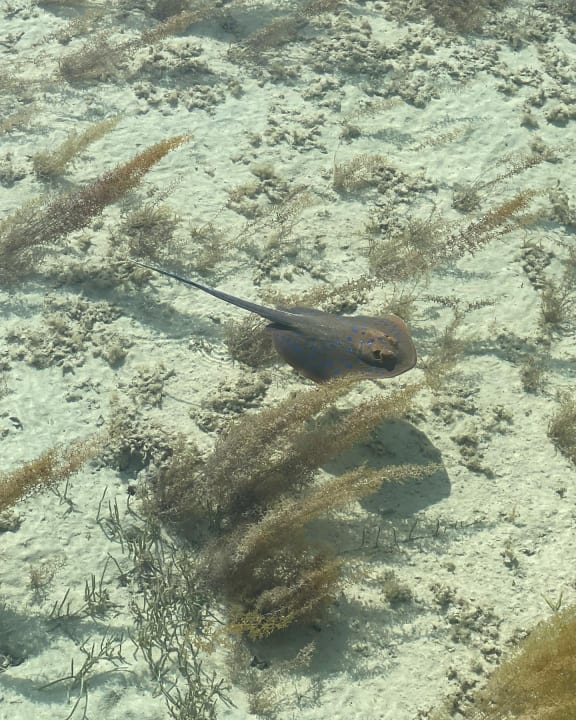 Strand Casa Mare Resort