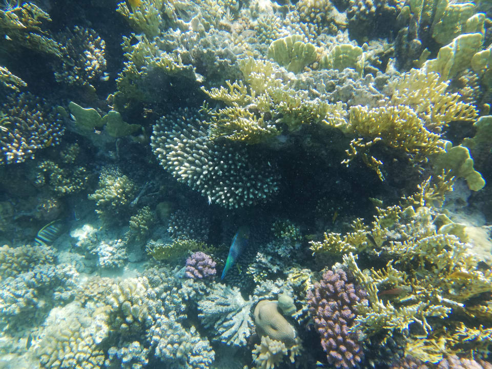 Strand Cleopatra Luxury Resort Makadi Bay