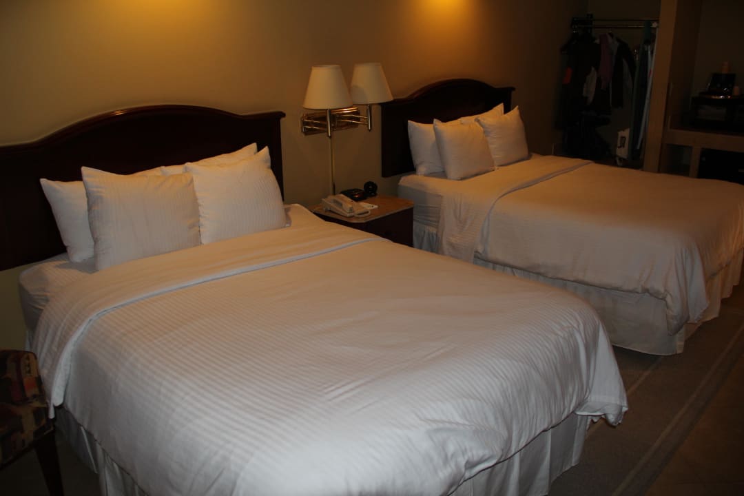 Großes Zimmer Hollywood Hotel - The Hotel of Hollywood