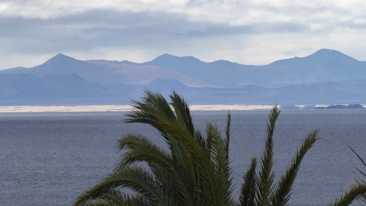 Ausblick Ereza Apartamentos Los Hibiscos- Adults Only