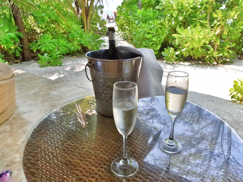 Gastro Summer Island Maldives