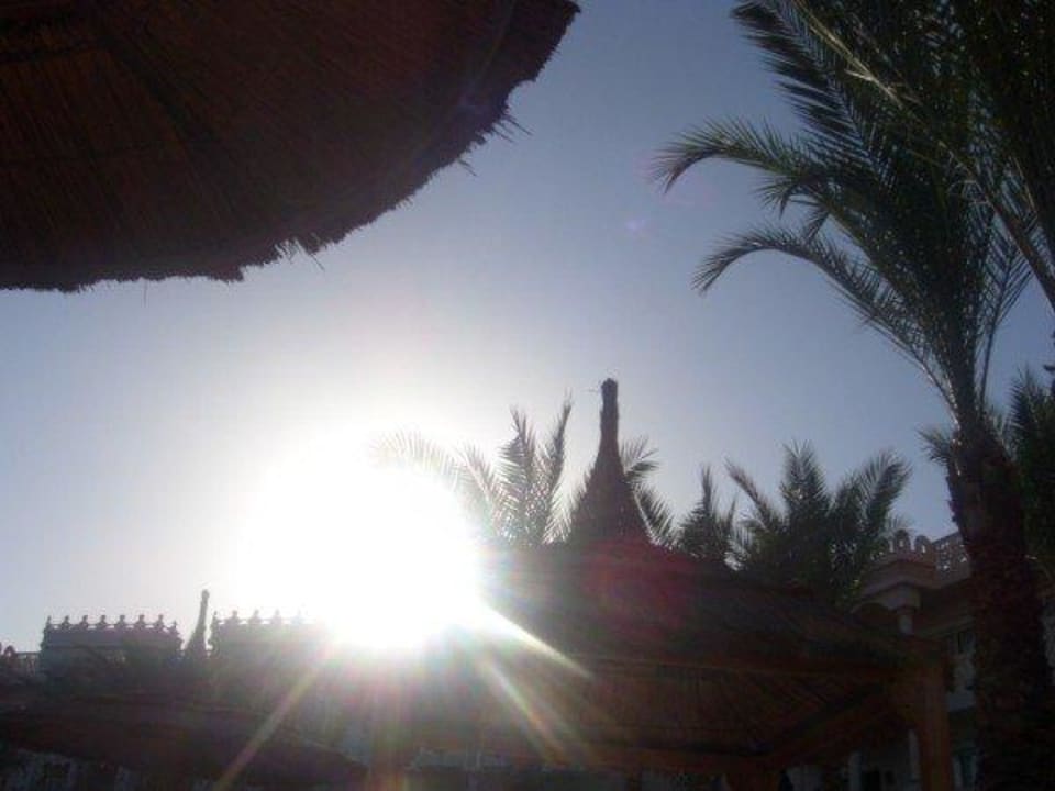 Träumen Pickalbatros Palace Resort