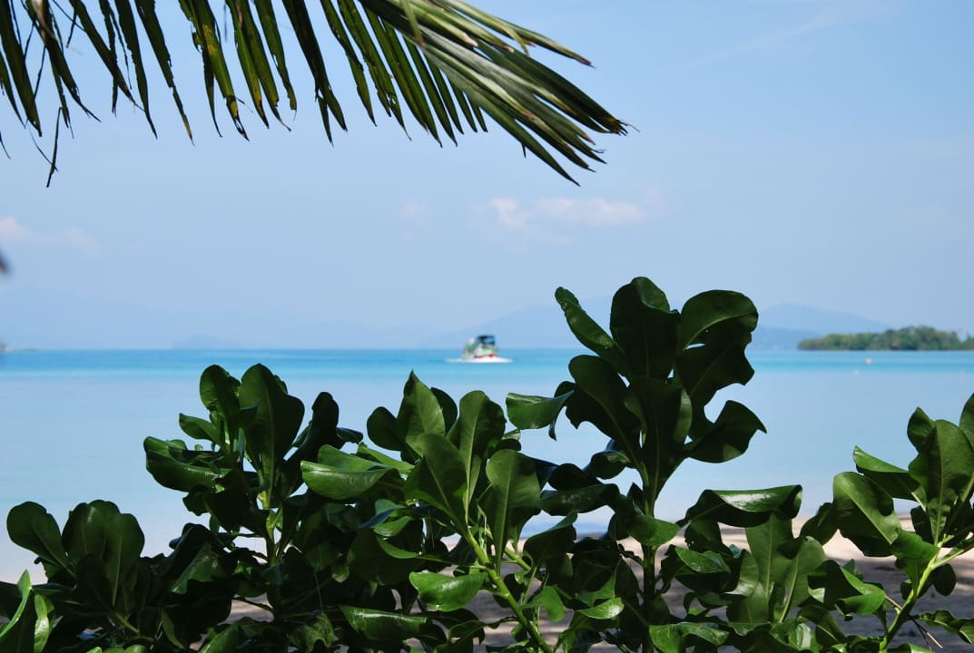 Widok z bungalowu Hotel Koh Mak Resort