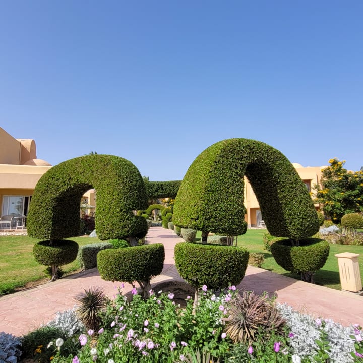 Gartenanlage Wadi Lahmy Azur Resort