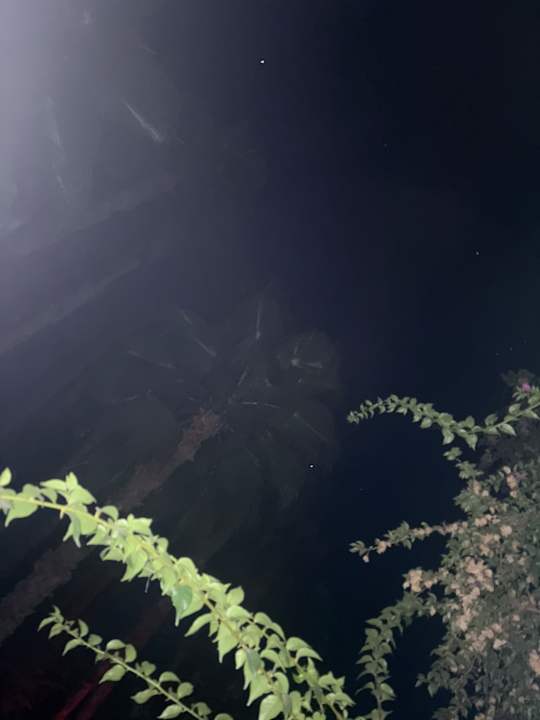 Ausblick Hotel Gardenia Beach