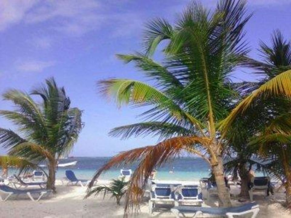 Strand und Liegen Villas Bavaro Resort & Spa