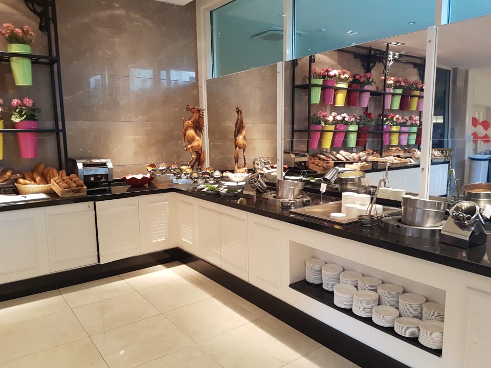 Gastro Well Palace Side