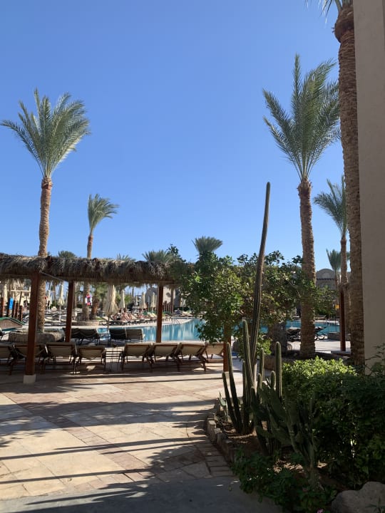 Pool Iberotel Makadi Beach