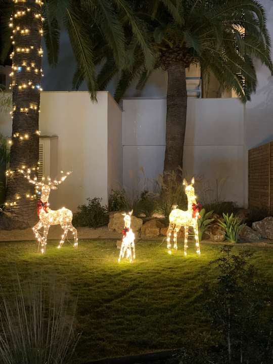 Außenansicht Hipotels Flamenco