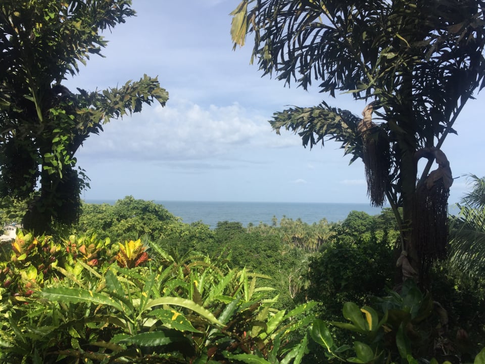 Ausblick Villa Maria Tayrona, a Kali Hotels
