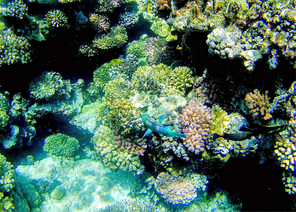 Sonstiges Sentido Naga Bay