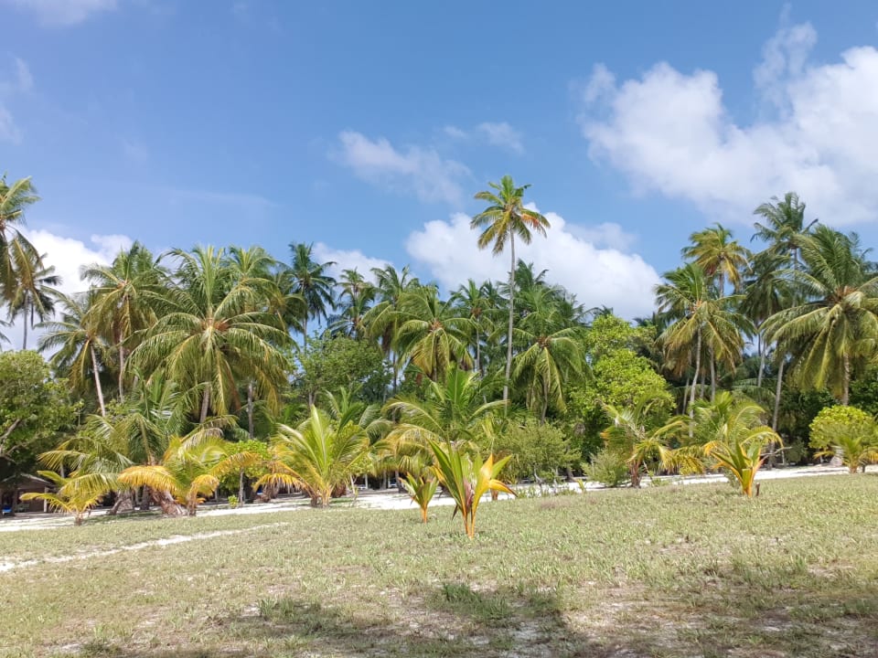 Ausblick Meeru Maldives Resort Island