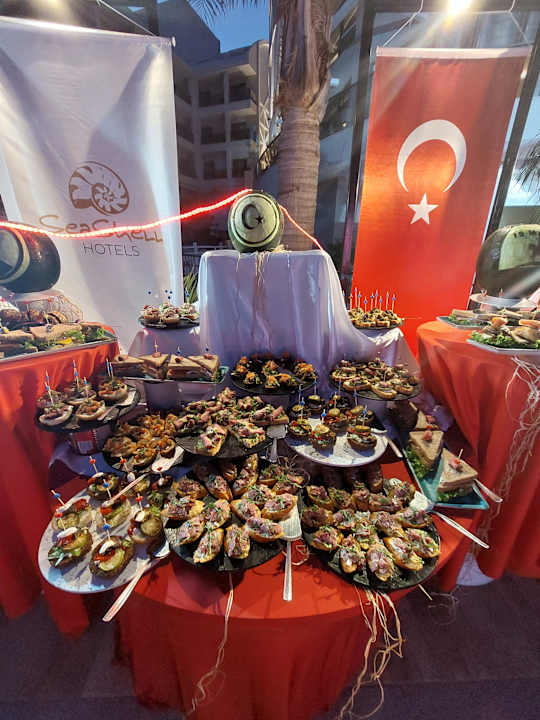 Gastro Seashell Vega