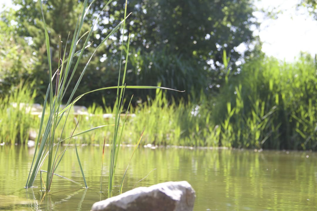 Gräser Hotel Sonnenhof