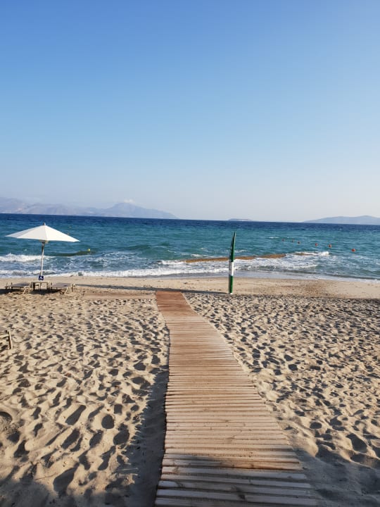 Zimmer Neptune Luxury Resort