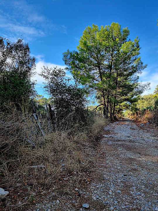 Sonstiges TUI BLUE Seno - Adults Only