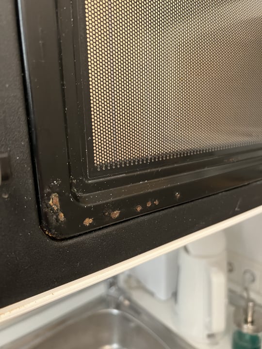 Zimmer Apartment Bellamar