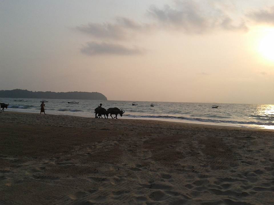 Abendstimmung...  Hotel Sandoway Resort