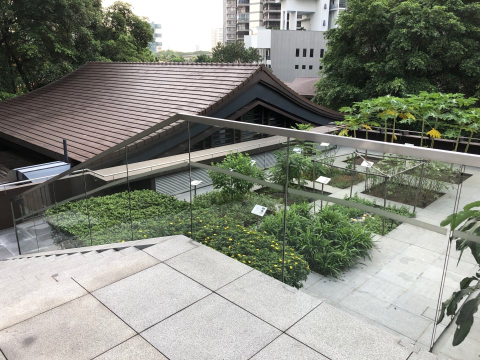 Gartenanlage Aloft Singapore Novena