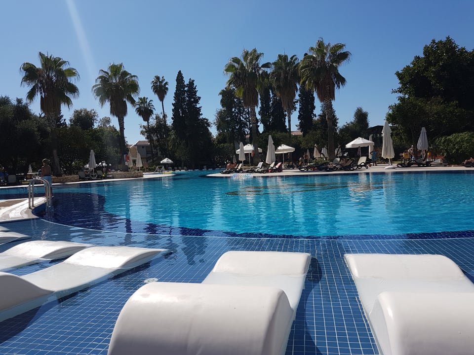 Pool Horus Paradise Luxury Resort & Club