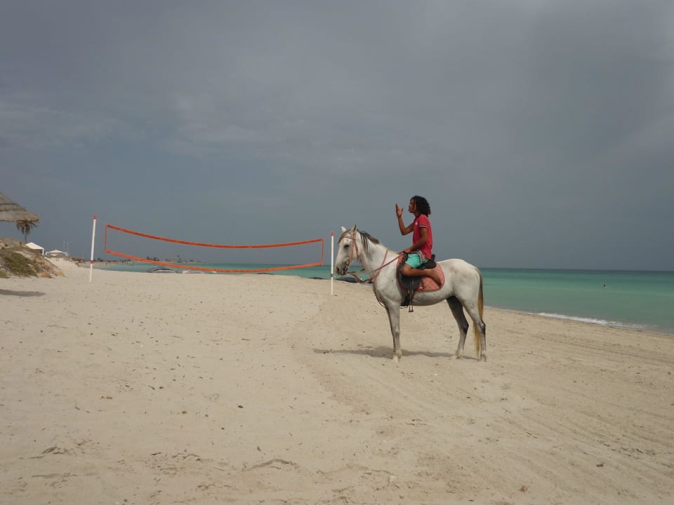 Promenade à cheval sur la plage Ulysse Djerba Thalasso & Spa
