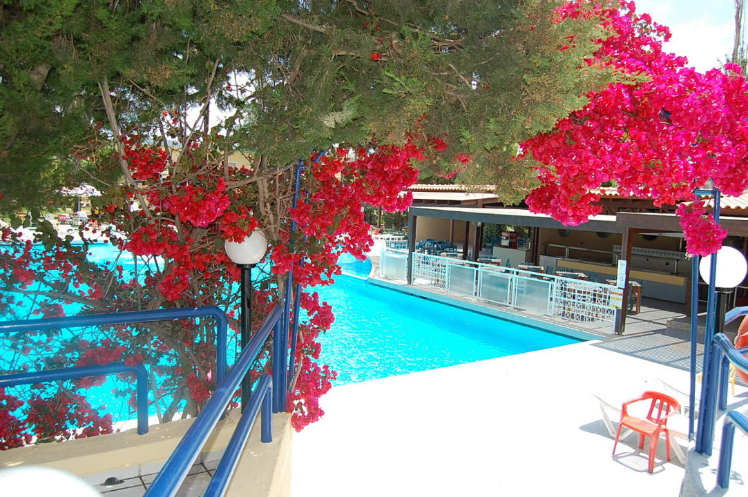 Ukwiecony basen Hotel Golden Odyssey