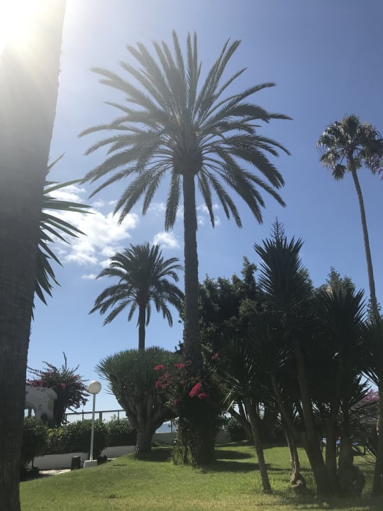 Gartenanlage Sahara Beach Club