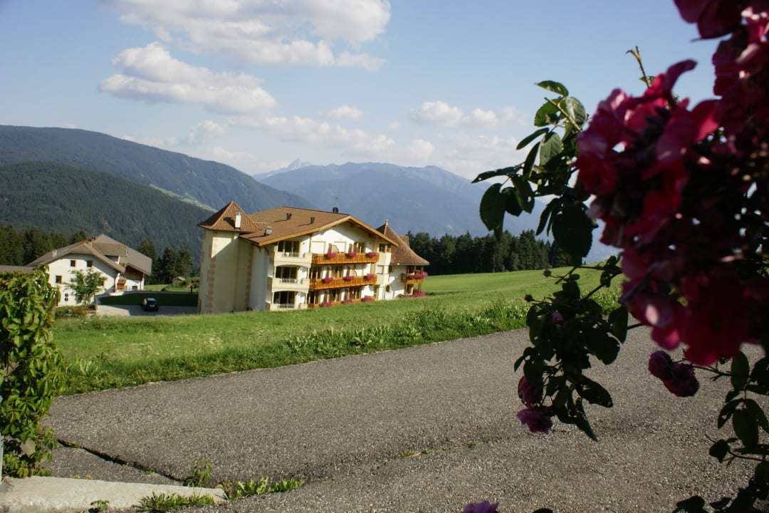 Hotelansicht (Rückseite) Hotel Edelweiss