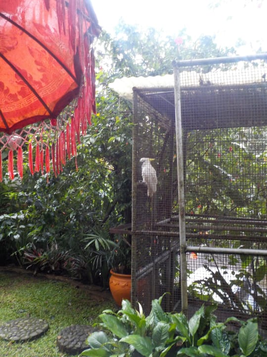 Blick vom Restaurant in den Garten GG House Happy Valley