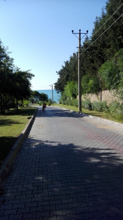 Gartenanlage Club Sidelya Hotel