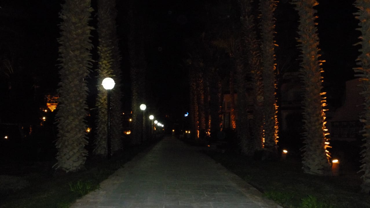 Nächtliche Wege Beach Albatros Resort