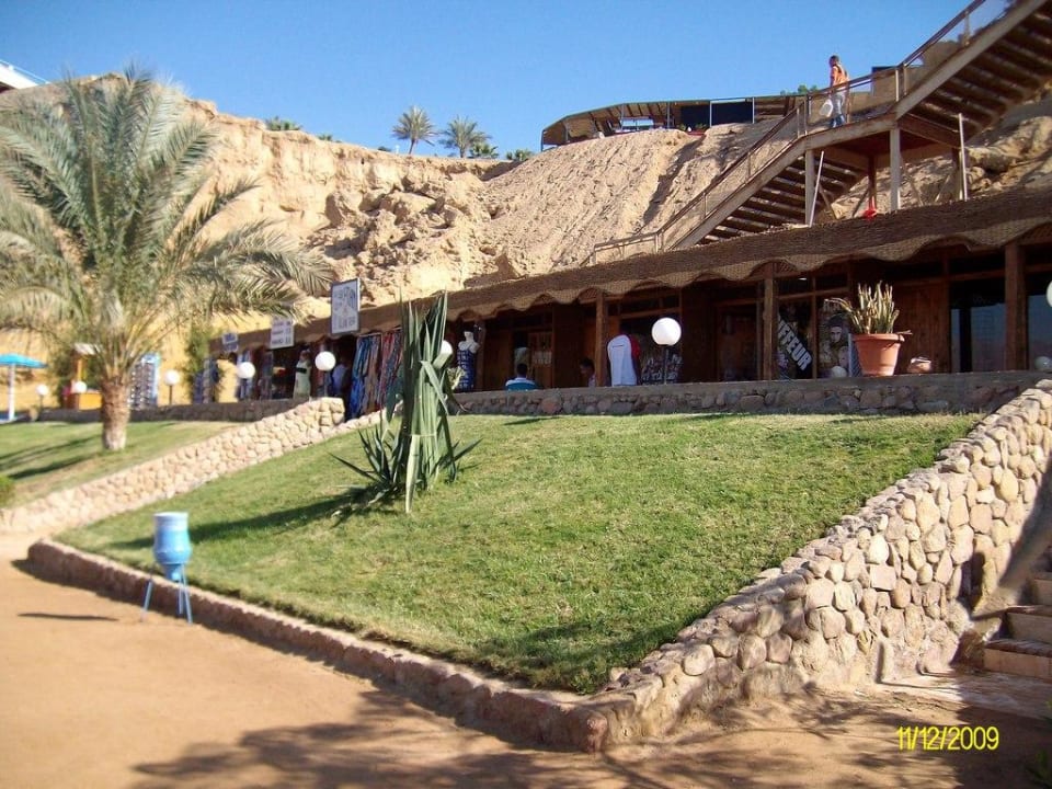 Am Hotelstrand Albatros Sharm Resort