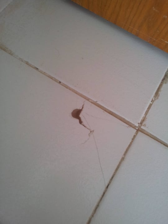 Kaputte Fliesen Desert Rose