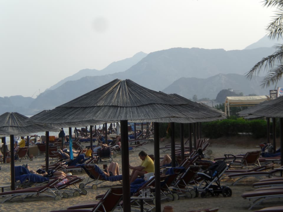 Strand Miramar Al Aqah Beach Resort