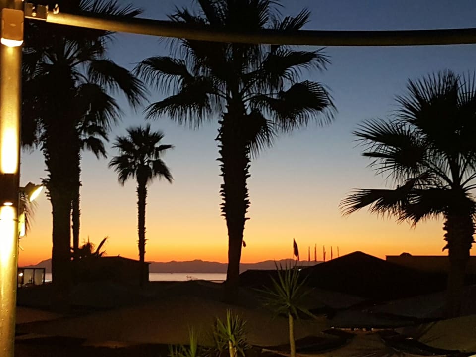 Ausblick TUI BLUE Palm Garden