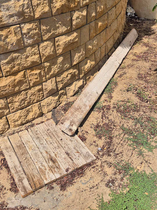 Außenansicht Coral Hills Resorts & SPA