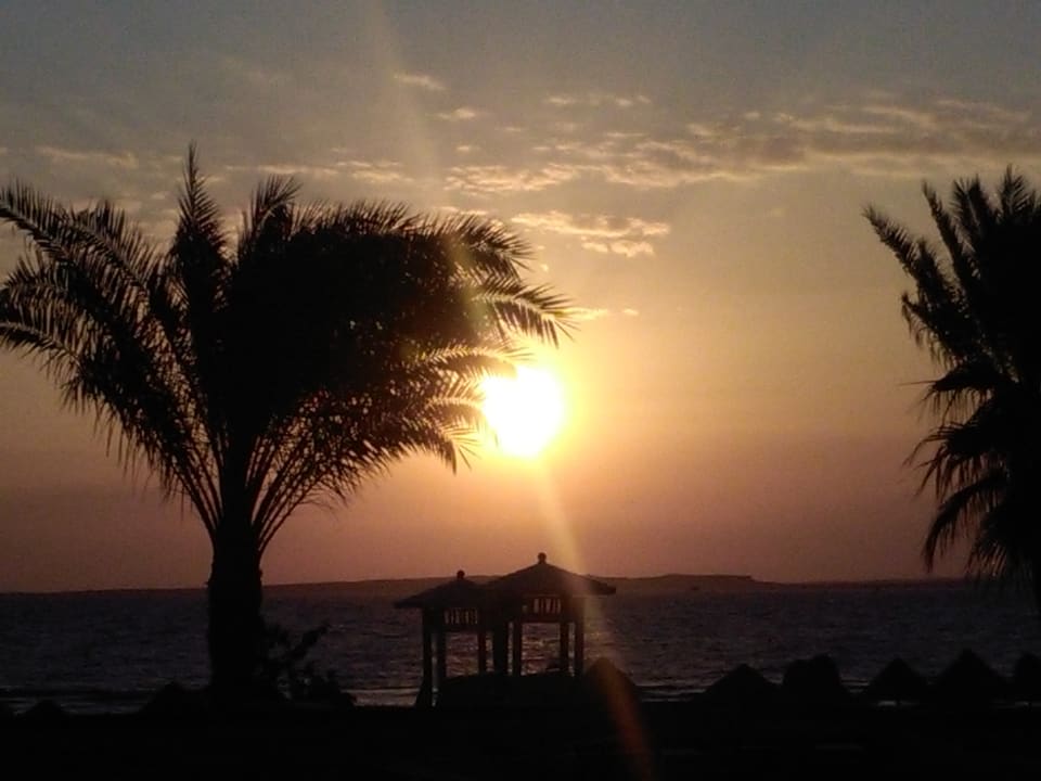 Ausblick Parrotel Beach Resort