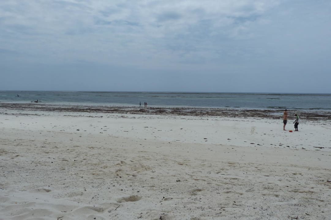 Strand bei Ebbe Hotel Diani Sea Lodge