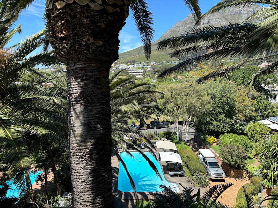 Pool Lezard Bleu Guesthouse
