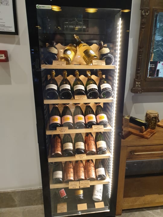 Gastro Acanthus Cennet Barut Collection