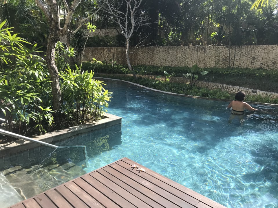 Pool The Ritz-Carlton Bali