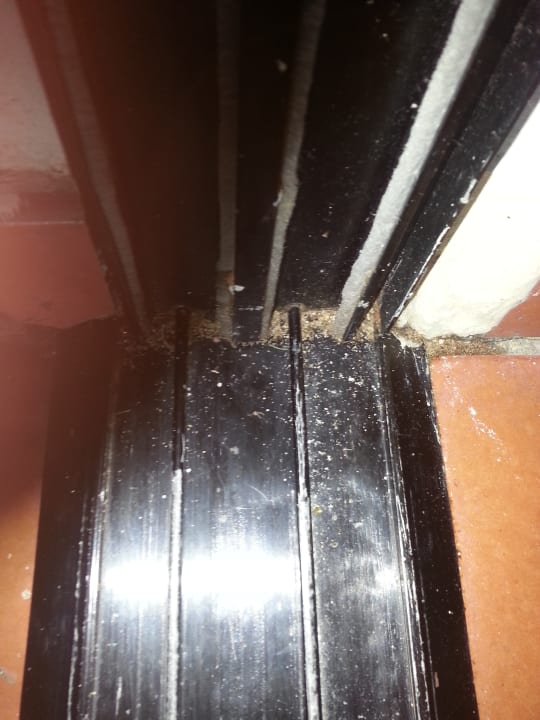 Zimmer Marien Puerto Plata