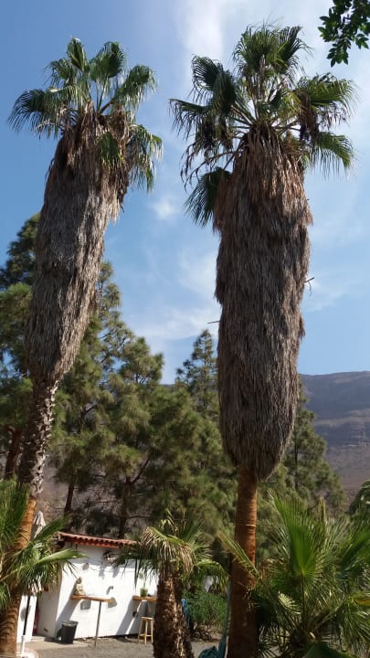 Ausblick Bio Finca - Las Tenerías