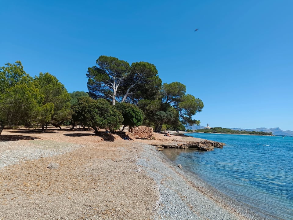 Strand The Sea Hotel by Grupotel - Adults only