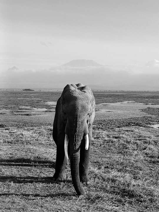 Ausblick Ol Tukai Lodge